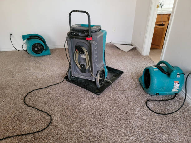 Best Commercial water damage restoration  in Platteville, WI