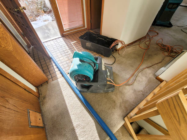 Best Flooded house restoration  in Platteville, WI