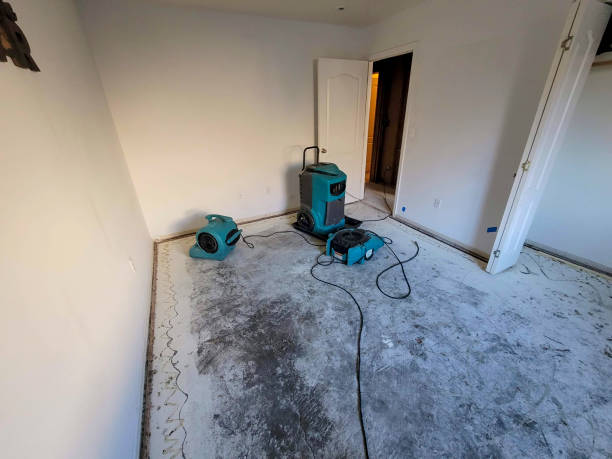  Platteville, WI Water damage restoration Pros
