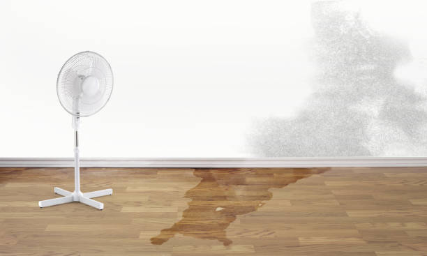 Best Flood damage cleanup  in Platteville, WI