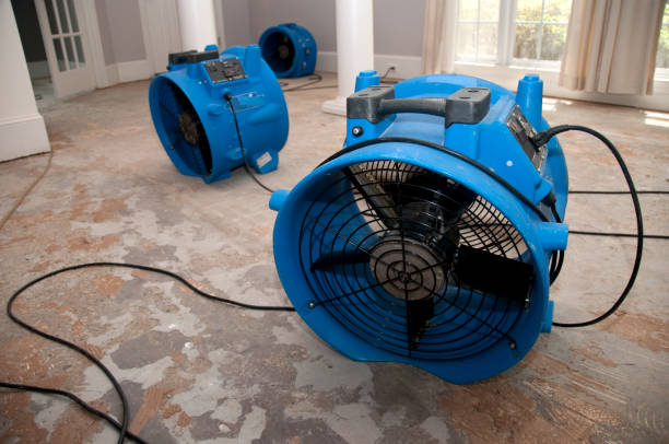 Best Flood restoration services  in Platteville, WI