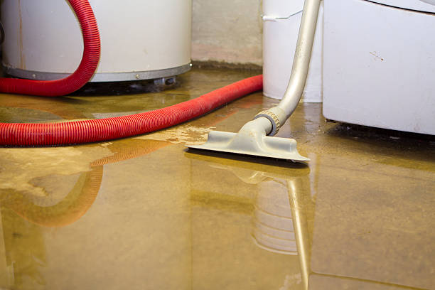 Best Water damage restoration near me  in Platteville, WI