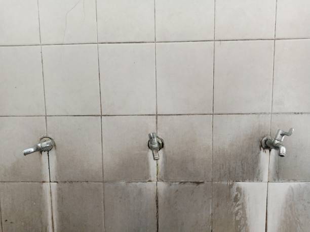 Best Carpet water damage restoration  in Platteville, WI