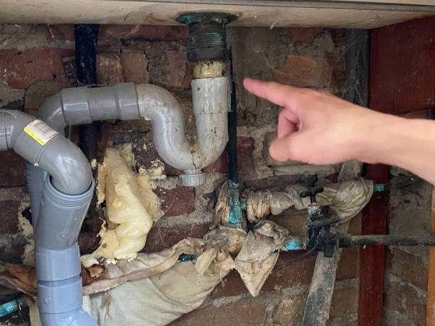 Best Local water damage restoration  in Platteville, WI