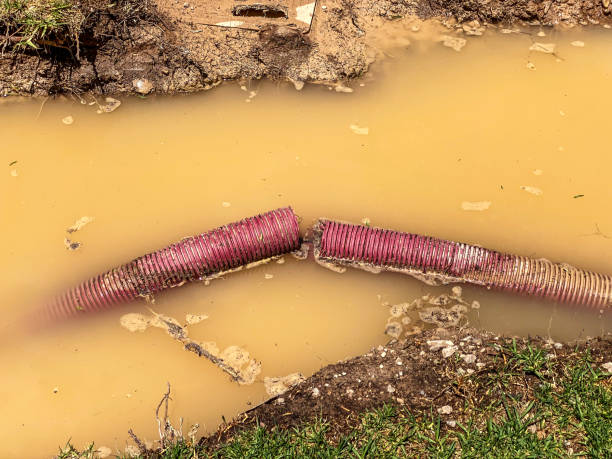 Best Emergency water damage restoration  in Platteville, WI